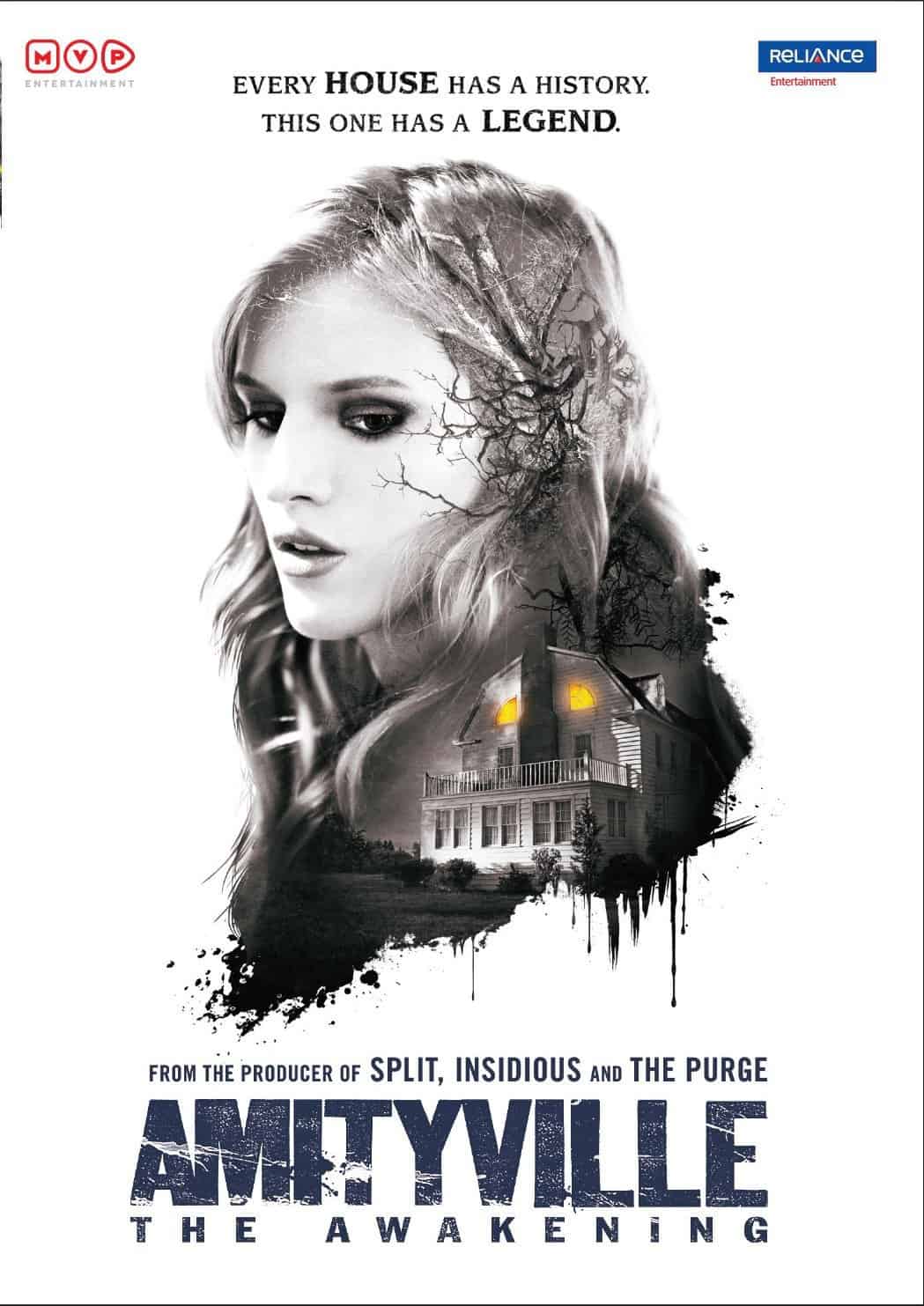 Amityville The Awakening