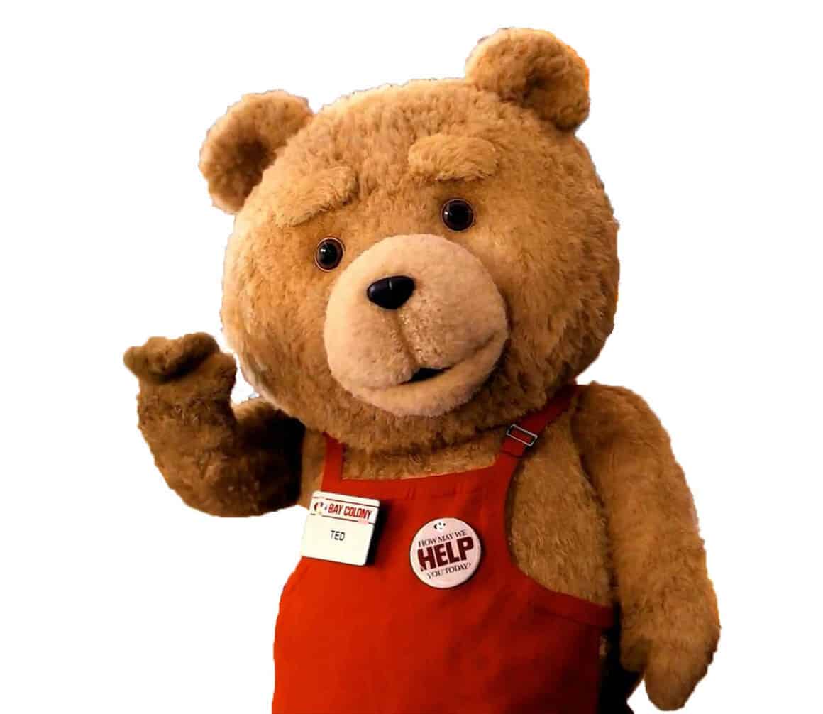 ted 1