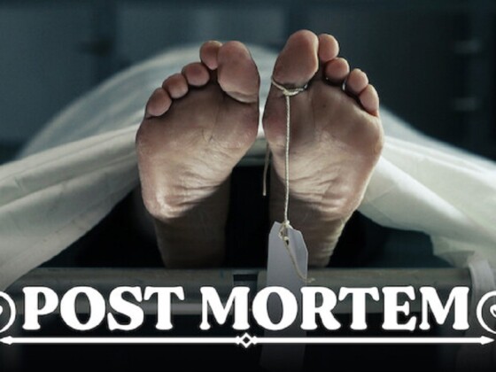 Post Mortem: No One Dies in Skarnes Season 2